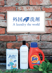 『外国の洗剤 ～A landry the world～』 sample image