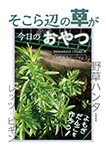 『野草ハンター レッツ・ビギン | そこら辺の草が今日のおやつ【ヨモギ】』 sample image
