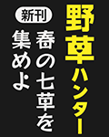 『野草ハンター 春の七草を集めよう』 sample image